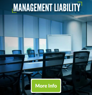 Management Liability Category
